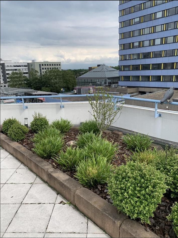 Im Herzen Von Wiesdorf- Blick Auf Das Bayer-Kreuz -Appartement Mit 2 Schlafzimmern-Fuer 3 Personen -Zentral Gelegen - Friedrich Ebert Platz 5A , 4Te Etage - Dachterrasse Und Sauna - Kaution Pflicht - 勒沃库森 外观 照片